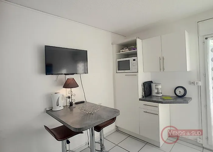 Renove Avec Balcon, Animaux Acceptes, Wifi, A 650m Des Thermes - Fr-1-451-92 Διαμέρισμα *